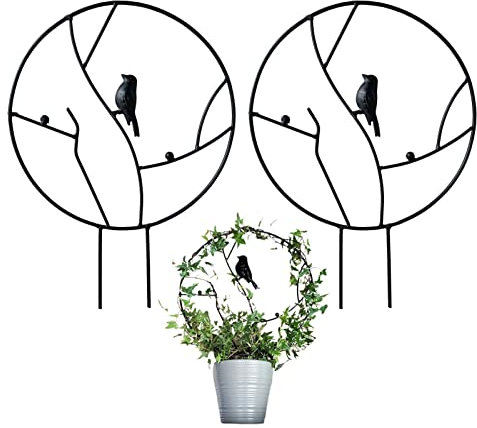TKRSRK 2 Stück Eisen-Garten-Rankhilfen für Kletterpflanzen, 41.4 cm rostfreies, rundes Rankgitter mit Vogel, Metallranken-Pflanzenstützung Rankgitter für Reben – Schwarz