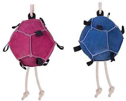 NETPROSHOP Pferde Spielball blau oder pink zum Aufhängen, 1 Stück, Durchmesser ca. 22 cm, Groesse:One Size, Farbe:Blau