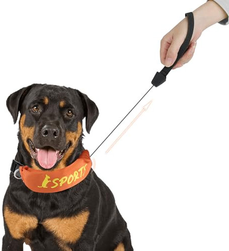 Enjoying Halsband Integrierte Leine, Hundehalsband mit Integrierter Leine, Verstellbares Halsband, Orange