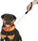 Enjoying Halsband Integrierte Leine, Hundehalsband mit Integrierter Leine, Verstellbares Halsband, Orange