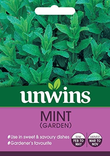 Unwins 30410069 Herb Mint (Garden) Seeds, Clear