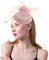 Focupaja Fascinator Hüte Damen Pillbox Hut mit Mesh Schleier Federn Derby Stirnband Hochzeit Kopfbedeckung Tea Party Haarspange 1950er Vintage Fascinator W4-27-Staubiges Rosa