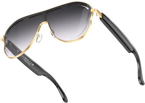 LYXFLHAN AI Smart Sunglasses - 200+ Language Translation - Bluetooth 5.3, Photochromic Lenses, Stainless Steel Frame & Hands-Free Audio (Gun Grey)