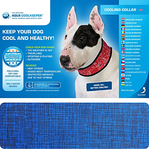 Aqua Coolkeeper Halsband Pacific Blue XXXL