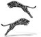 erreinge Aufkleber X2 Puma rechts und Links in Shaped Kleber für PVC-Aufkleber-Wand-Wand Auto Moto Helm Camper Laptop - 15 cm