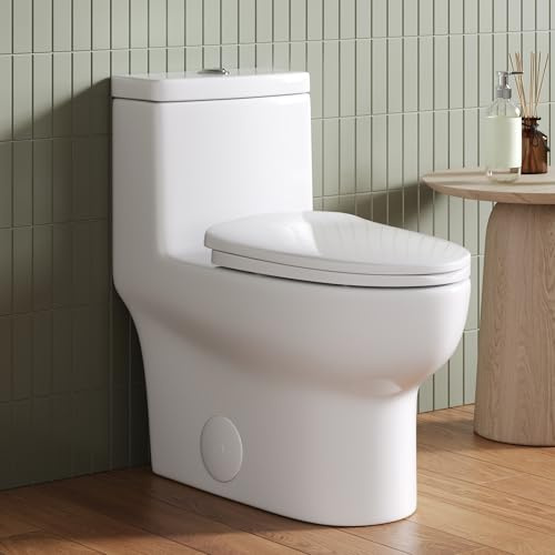 DeerValley One Piece Toilet Elongated Toilet with Soft-Close Seat Powerful 1.1/1.6 GPF Dual Flush Standard Height Toilets Skirted Design 12 Rough-In DV-1F026