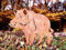 Irony24 Edelrost Wildschwein Gartenstecker 58 x 74 cm 1 Stück