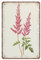 DAIERCY Lustiges Vintage-Schild, rosa Astilbe, botanischer Druck von 1970, falscher Ziegenbart, Blume, botanische Metall-Blechschilder für Küche, Garten, Garage, Badezimmer, Wanddekoration, 140 x 200