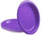 POPOYU 16 Pièces Assiettes en Papier de Fête Violet Foncé,Assiettes Carton Anniversaire,18cm Rondes Solides Assiette Dessert Carton Anniversaire pour Noël Picnic,Anniversaire,Mariage Fournitures de
