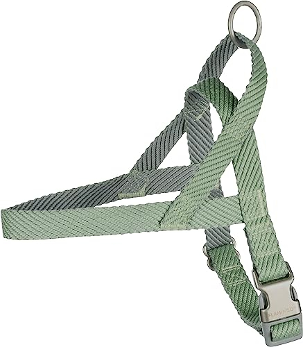 Norweger-Geschirr Elly GRÜN M 52-65CM 25MM