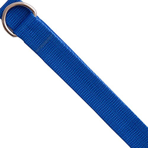 Personalised Universal Pushchair/Buggy Safety Strap (Blue)