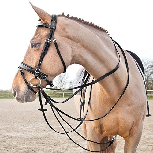 HORZE Sparta Schlaufzügel aus Nylon/Leder, Schwarz, F