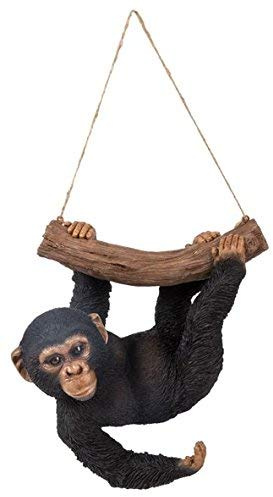 Vivid Arts - Zoo Pet Pals Hanging Chimp Home or Garden Decoration (XRL-CHM5-D)