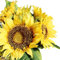 Amzali Künstliche Blumen, Sonnenblumen, Blumenstrauß für Heimdekoration, Garten, Hochzeit, Dekoration, Tafelaufsätze, fühlt sich echt an, Seidenblumen, Braut, Blumendekoration, 1 Set