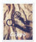 1a Bilderrahmen Clippo Rahmenloser Bildhalter Posterrahmen Cliprahmen 75X98 Cm Menge/Ausstattung: 1 Stck. / 1Mm Klares Kunstglas