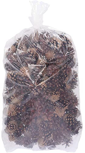 Vosteen Sylvestris (pino forestal) - 2 kg - naturaleza