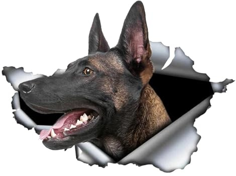 Autoaufkleber Belgische Malinois Autoaufkleber 15cm(5.9 Inch) 3D Zerrissen Aufkleber Belgische Schäferhund Haustier Hund Aufkleber Wasserdichte Laptop-Aufkleber Reflektierende Aufkleber Autofenster