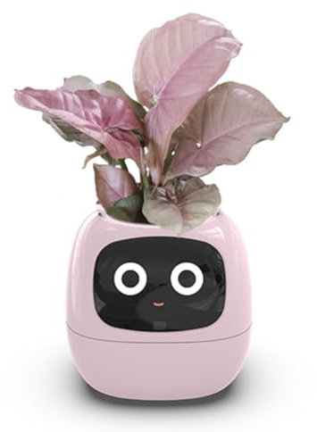 Yominerr Ivy Smart Planter, maceta pequeña recargable por USB para interior como decoración de interiores, hace que la plantación de plantas sea fácil y divertida, color rosa