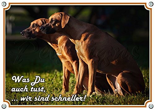 Petsigns Rhodesian Ridgeback/RR -Hundeschild - haltbar und in TOP Qualität, 3. DIN A3