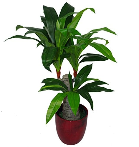 Leaf Design UK Plante Artificielle à Triple Branche Grand Pot en Plastique Noir 75 cm Dracaena
