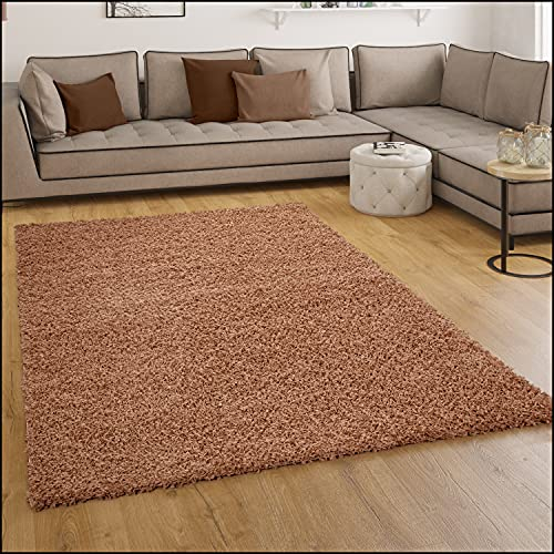 Paco Home Shaggy Hochflor Langflor Teppich Sky Einfarbig in Terrakotta, Grösse:60x100 cm