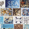 Mambo Design PVC Tischdecke Marina Wachstuch · Breite & Länge wählbar · abwaschbare Tischdecke · Maritim blau Weiss Seestern, Größe:140 x 80 cm