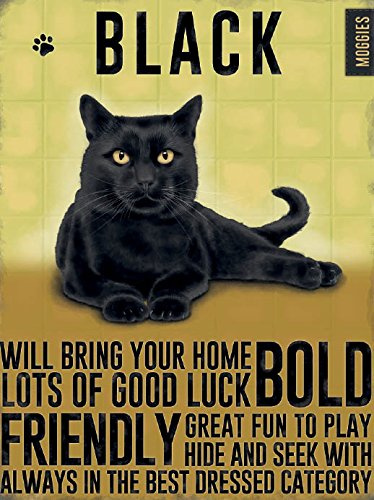 Fridge Magnet - Black Moggies Cat Kitten