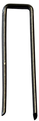 BIG-SAM - Efeunadeln | 7mm x 25mm | 50, 100, 200, 500 oder 1000 Stück | für Floristik-, oder Bastelarbeiten (50, 7mm x 25mm)