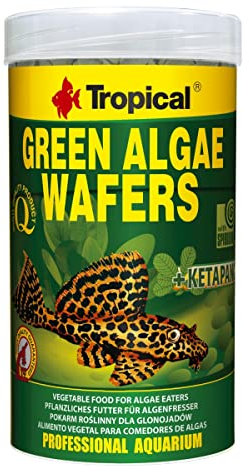 Green Algae WAFERS 250ml / 113g - Nourriture avec spiruline, algues et Feuilles de ketapang pour mangeurs du Fond