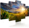 B&D XXL Acrylglasbild Landschaft Natur 100x50 cm 5 Teilig Wandbild auf Acryl Glasbilder Kunstdruck Moderne Acrylglas Platte Wanddekoration Geschenke Heimdekoration Glasbild Gebirge Wiese