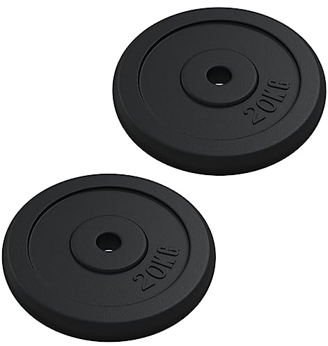 vidaXL Weight Plate Indoor Exercise Fitness Training Equipment Weightlifting Barbell Fitness Dumbbell Weight Plate Disc 40 kg Cast Iron