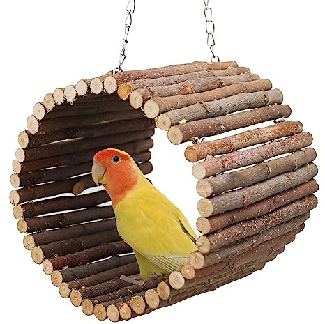 Bird Parrot Swing Toys, Hanging Bird Tree Caves, Natural Apple Wood Parrot Hammock, Bird Cage Accessories, Suitable for Little Bird Parakeets Cockatiels Lovebirds Hamster Rat (6.49 in Diameter)