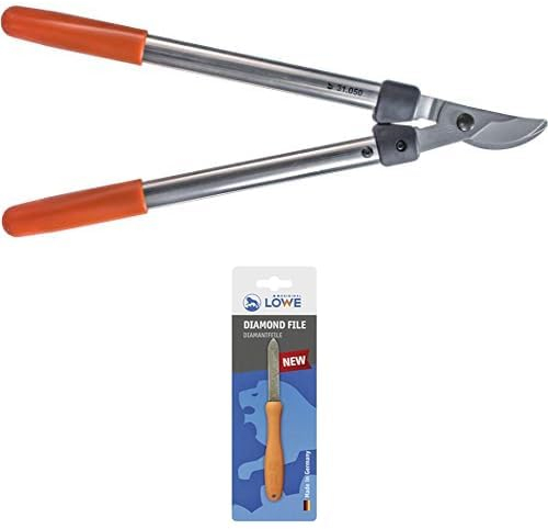 Original LÖWE Set bestehend aus Profi Bypass Astschere 31.050 zweischneidig, für präzise Schnitte im Weinbau, Obstbau und Gartenbau & Diamantfeile 0023 für Scheren, Äxte und Werkzeuge
