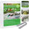 3 * 6M Filet de Protection Anti-Insectes Filet Anti Insecte Filet Anti Insecte Potager Filets pour Jardin avec 15 Piquets