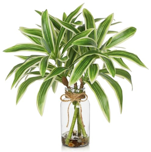 Oairse Steli vegetali finti in vaso Dracaena Pianta aritificial in vaso di vetro con pietre d'acqua finte 39,9 cm piccole piante in vaso Disposizione centrotavola per fattoria cucina tavoli da pranzo