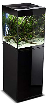Aquael AQUAEL Glossy 100 Black Aquael 215LT Con SUPPORTO, x, schwarz, 20 Liter