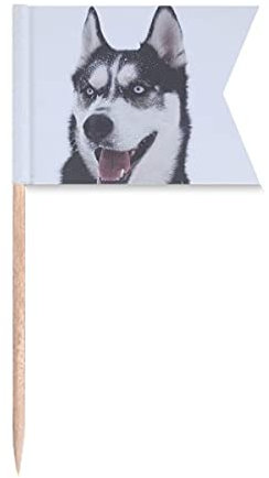 Beauty Gift Big Dog Snow Husky Picture Markierung für die Kennzeichnung von Zahnstocher-Flaggen