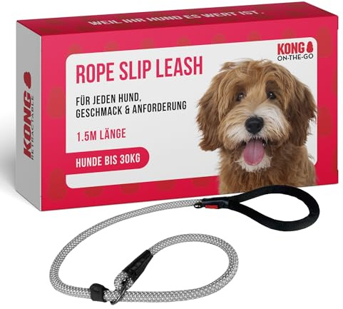 KONG Hundeleine I wetterfeste Retrieverleine I Schlupfleine mit Handschlaufe I Leine mit integrierter Halsung I Führleine Hund I Hundeleinen (Grau, M)