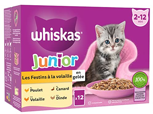 WHISKAS JUNIOR Repas Pour Chaton, 48 Sachets Chat en Gelée JUNIOR, 4 Variétés,(4 Packs de 12x85g), Nourriture Humide Chaton Complète et Équilibrée
