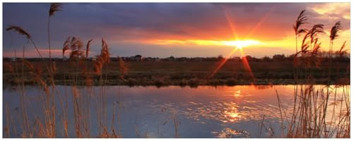 Wallario Küchenrückwand selbstklebend 115 x 50 cm, Motiv: Sonnenuntergang über dem Fluss, Gräser im Wind | Spritzschutz abwischbar & pflegeleicht
