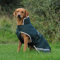 Bucas Greenline Dog Rug 50g