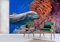 Wandbilder Wand Deko 3D-Delfin-Korallen-Tapeten-Wandbild, 150 x 105 cm Wandaufkleber Kinderzimmer Wandsticker Wohnzimmer Sticker Hintergrund Wandbilder