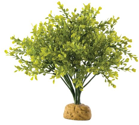 Exo Terra Buchsbaum, künstliche naturgetreue Pflanze für Terrarien, ideal für Regenwaldterrarien, 4 g (1er Pack)