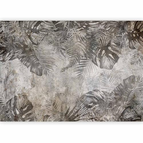 murando - Papier peint panoramique nature 350x256 cm - Revêtement mural décoration pour chambre salon - Design moderne - Gris vert - Les plantes nature feuilles contexte texture b-C-0825-a-a