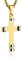 HZMAN Philippians 4:13 Cross Necklace Pendant Strength Bible Verse Stainless Steel Cross Pendant Jewelry Gift (Gold)