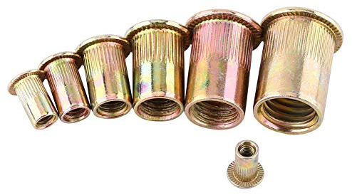 Hilitand 100 / 20Pcs M3-M12 Acero al Carbono Rosca de Remache roscada Tuerca Rivnut Nutsert Sujetador(M5/100pcs)