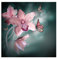 80x80cm - Fotodruck auf Leinwand und Rahmen Orchidee Schmetterlinge Blüte - Leinwandbild auf Keilrahmen modern stilvoll - Bilder und Dekoration