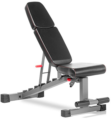 Power Series Adjustable Dumbbell Weight Bench, Workout Bench for Home Gym