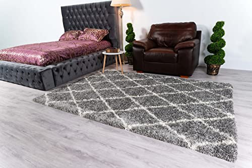 BPIL Shaggy Rug Trellis DESIGN Modern Rugs Living Room Extra Large Small Rectangular Size Soft Touch Thick Fluffy Pile Living Room Area Rugs Non Shedding (Silver, 120 x 170 cm)