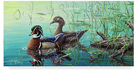Wood Ducks by Jeff Tift, 12x24-Inch